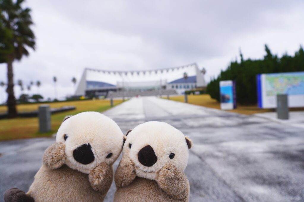福岡のマリンワールド海の中道の建物を背景に三重県の鳥羽水族で購入したラッコのぬいぐるみ二つを撮影した写真