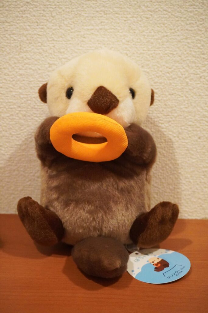 福岡のマリンワールド海の中道内にあるショップ「シーフォレスト」で販売 ぽちゃまるシリーズのラッコのぬいぐるみの写真