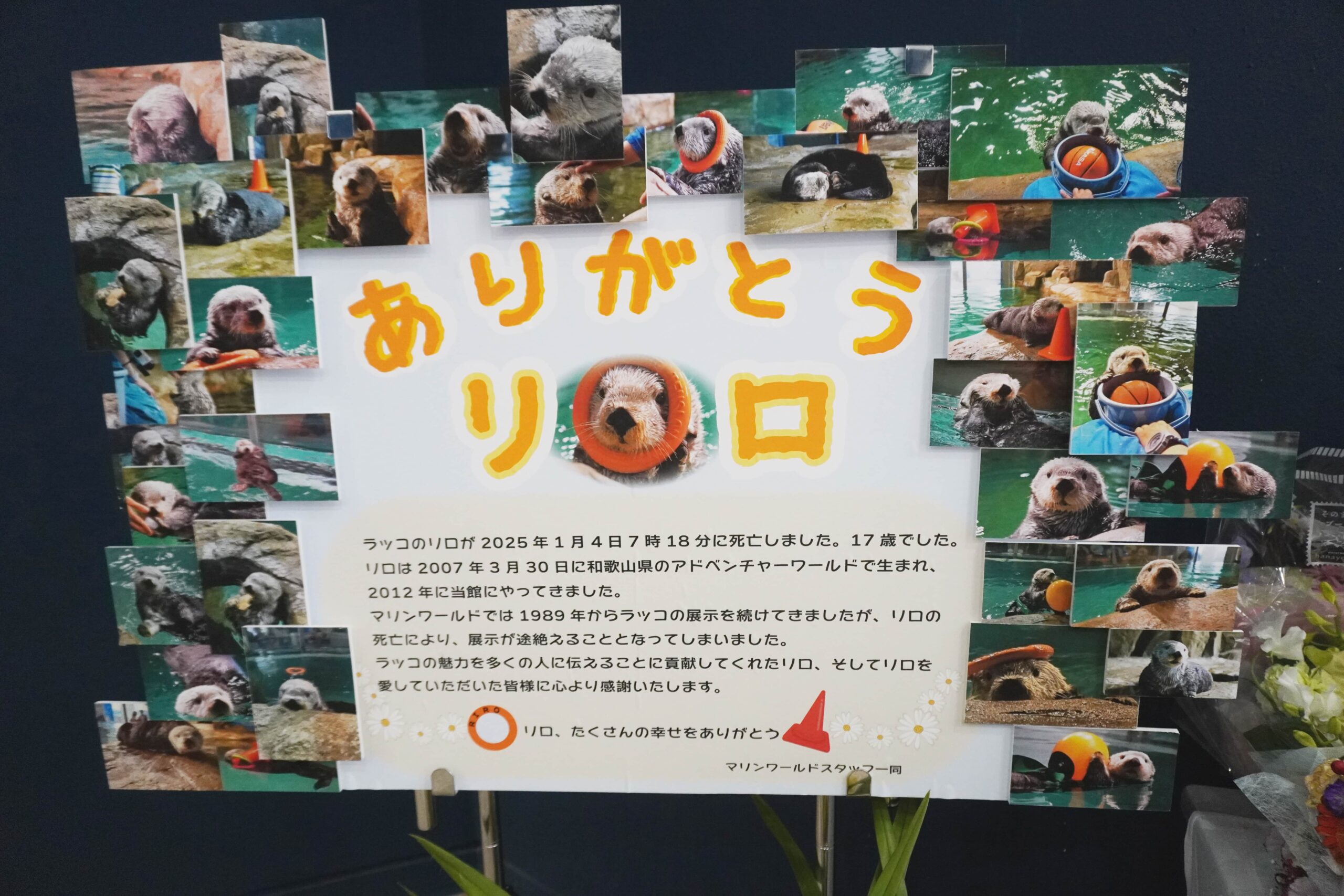 スタッフさん手作りのありがとうリロのタイトルとともにリロくんへの思いが綴られているパネルの写真。パネルの外枠にはリロくんの写真で埋め尽くされている。