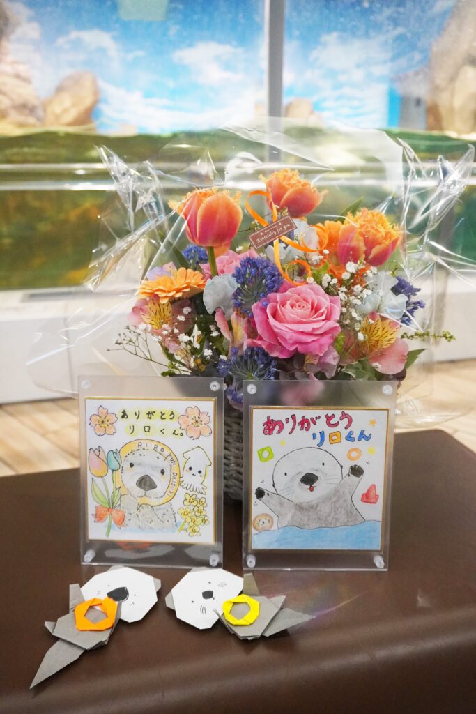 福岡のマリンワールド海の中道のラッコプール前でリロくんに贈った花かごと友人と描いたリロくんの絵、ラッコの折り紙2つを撮影した写真