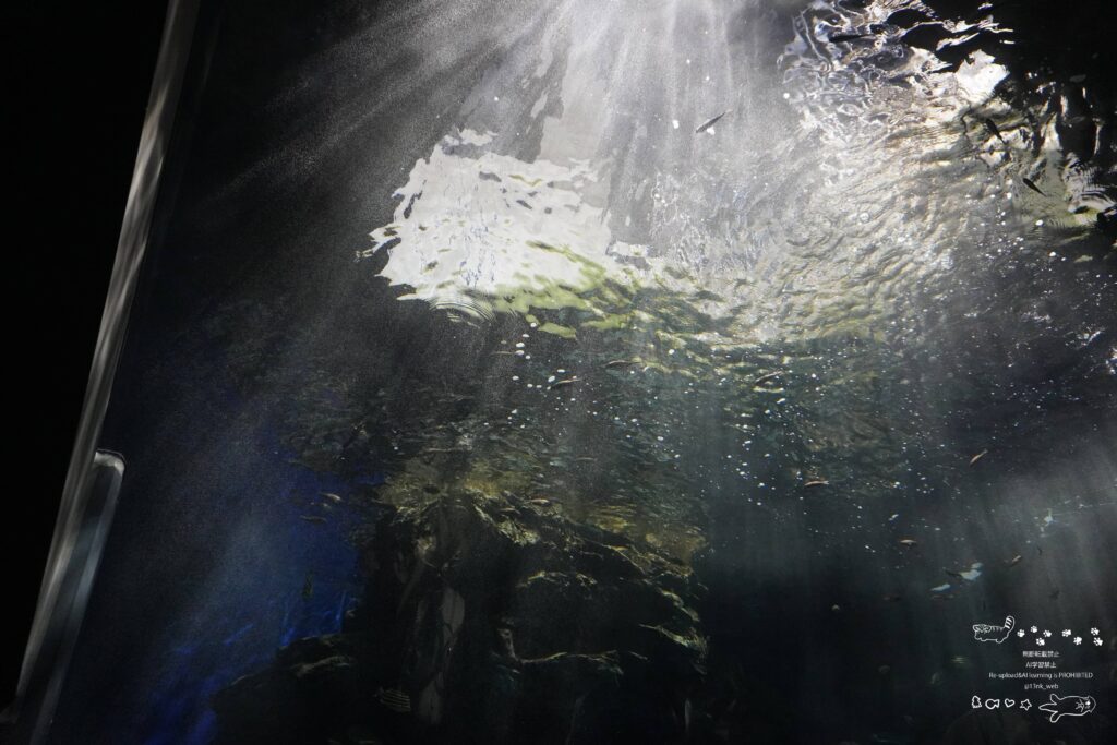 福岡のマリンワールド海の中道にある日の光が海に差し込んでいるような綺麗な水槽
