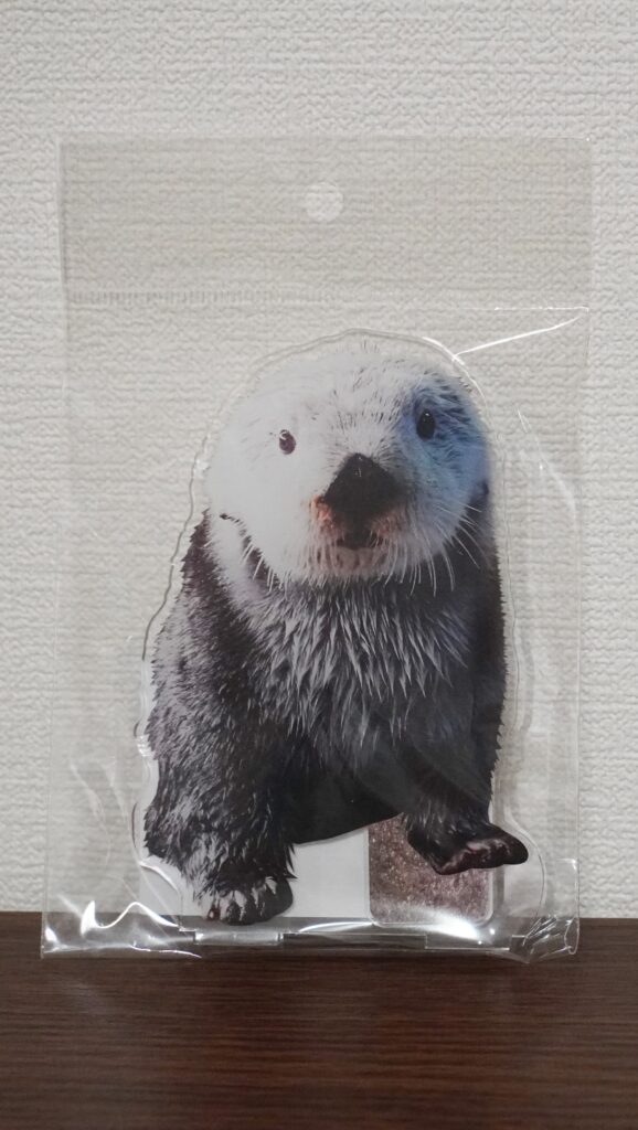 福岡のマリンワールド海の中道内にあるショップ「シーフォレスト」で販売 ラッコのリロくん見つめるバージョンのビッグアクリルスタンドの表面の写真