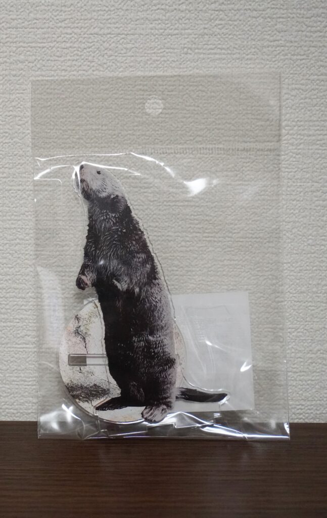 福岡のマリンワールド海の中道内にあるショップ「シーフォレスト」で販売 ラッコのリロくんスタンドバージョンのビッグアクリルスタンドの表面の写真